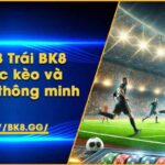 Tài Xỉu 3 Trái BK8 – Mẹo đọc kèo và đặt cược thông minh