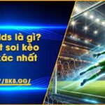 Tỷ lệ Odds là gì? Bí quyết soi kèo chính xác nhất